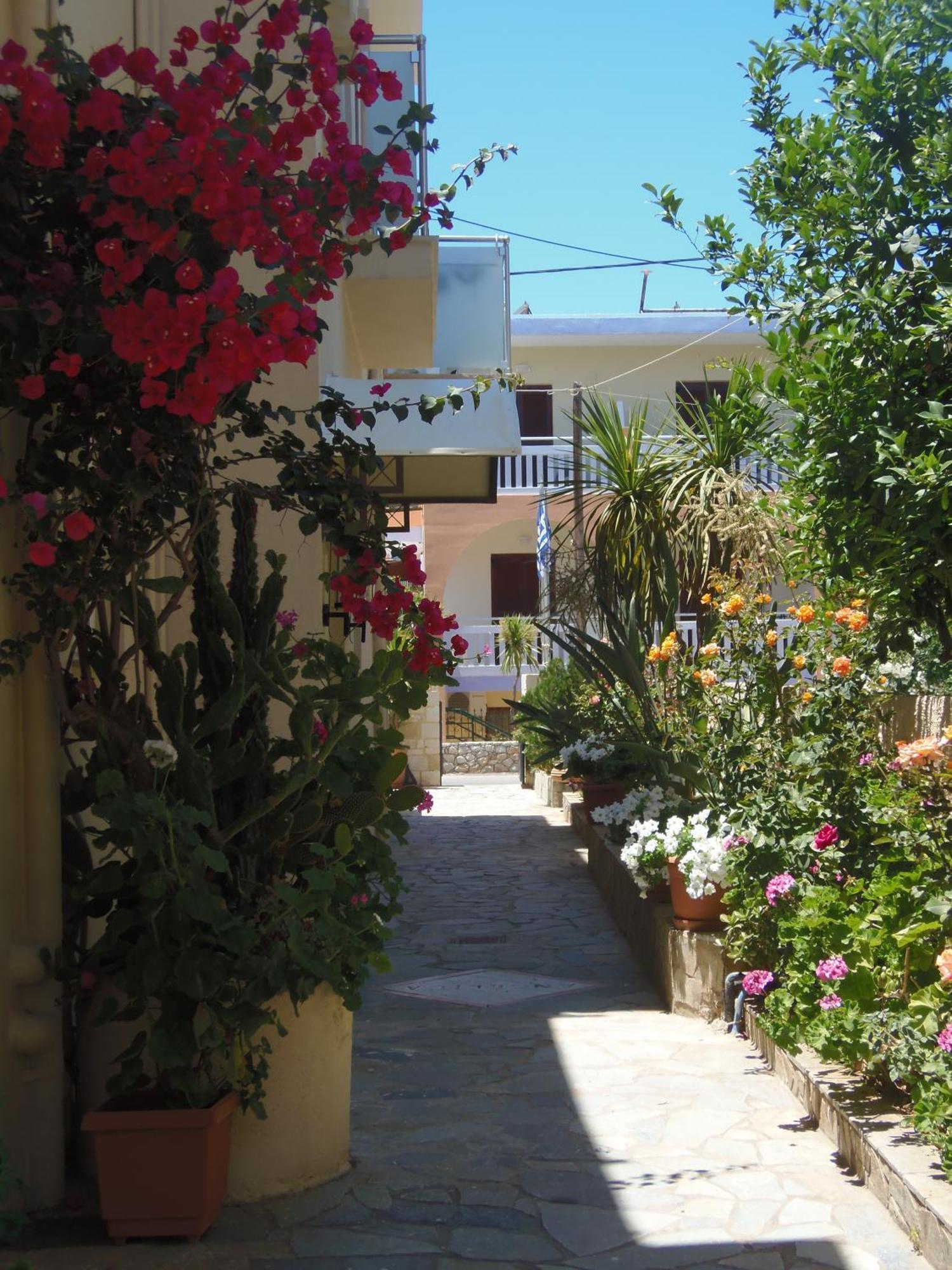 Angelica Studios And Apartments Agia Marina  Luaran gambar